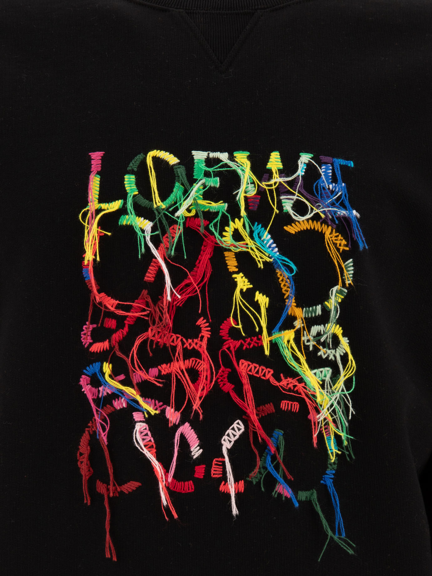 LOEWE Embroidered sweatshirt